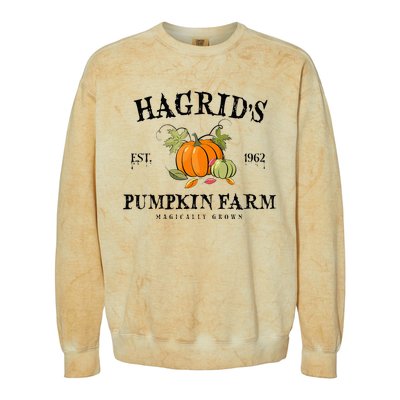 HagridS Pumpkin Farm Fall Autumn Pumpkin Garden Colorblast Crewneck Sweatshirt