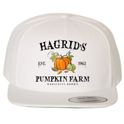 HagridS Pumpkin Farm Fall Autumn Pumpkin Garden Wool Snapback Cap