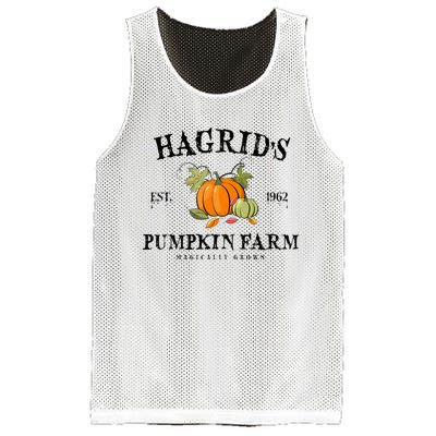 HagridS Pumpkin Farm Fall Autumn Pumpkin Garden Mesh Reversible Basketball Jersey Tank