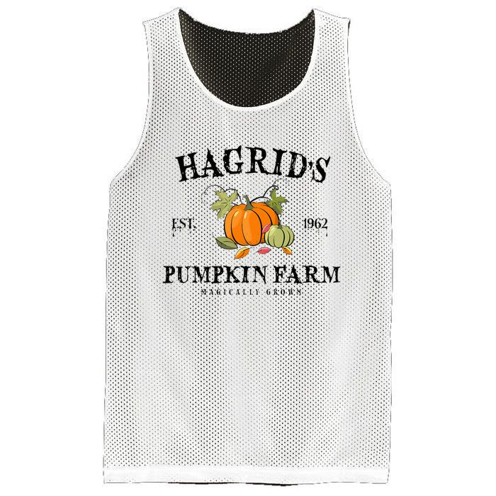 HagridS Pumpkin Farm Fall Autumn Pumpkin Garden Mesh Reversible Basketball Jersey Tank