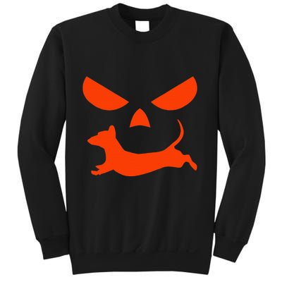 Halloween Pumpkin Face Dachshund Sweatshirt