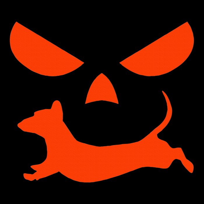 Halloween Pumpkin Face Dachshund Sustainable Bucket Hat