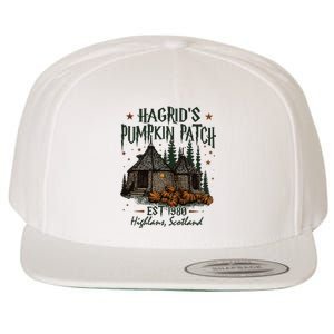 HagridS Pumpkin Farm Wool Snapback Cap