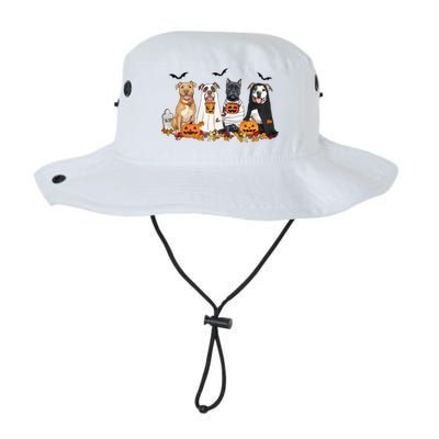 Halloween Pitbull Ghost Dogs Lover Legacy Cool Fit Booney Bucket Hat