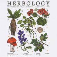 Herbology Plants Cooling Performance Crew T-Shirt