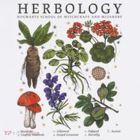 Herbology Plants Tall T-Shirt