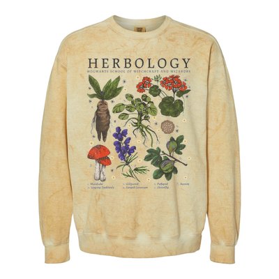 Herbology Plants Colorblast Crewneck Sweatshirt