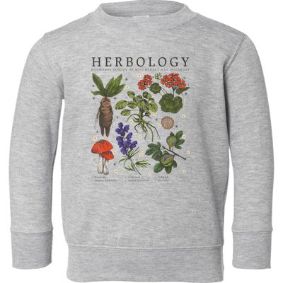 Herbology Plants Toddler Sweatshirt