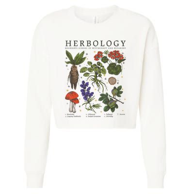 Herbology Plants Cropped Pullover Crew