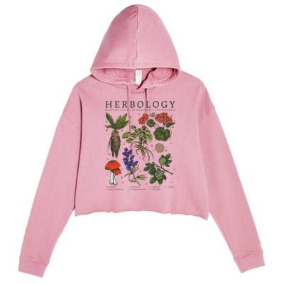 Herbology Plants Crop Fleece Hoodie