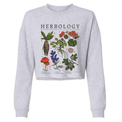 Herbology Plants Cropped Pullover Crew