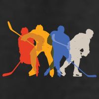 Hockey Players Adult Drive Performance Visor