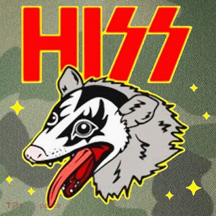 Hiss Possum Legacy Tie Dye Trucker Hat