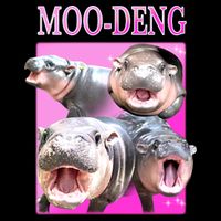 Hot Pink Moo Deng Hippo Meme Funny 16 in Basic Backpack