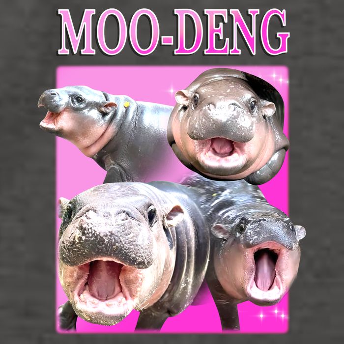 Hot Pink Moo Deng Hippo Meme Funny Vector Backpack