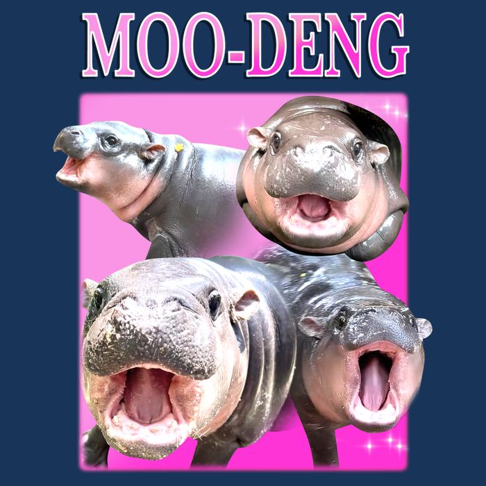 Hot Pink Moo Deng Hippo Meme Funny Infant Baby Jersey Bodysuit