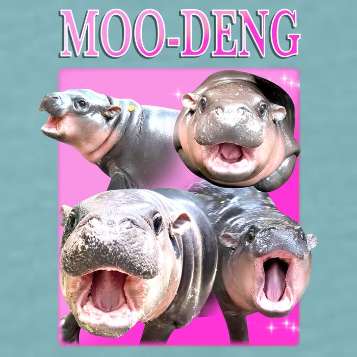 Hot Pink Moo Deng Hippo Meme Funny Sueded Cloud Jersey T-Shirt