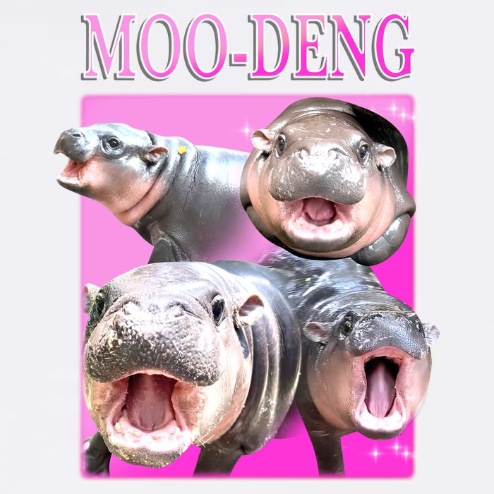 Hot Pink Moo Deng Hippo Meme Funny Garment-Dyed Sweatshirt
