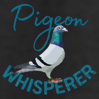 Homing Pigeon Pigeon Breeders Pigeon Breeding Racing Pigeons Adult Drive Performance Visor