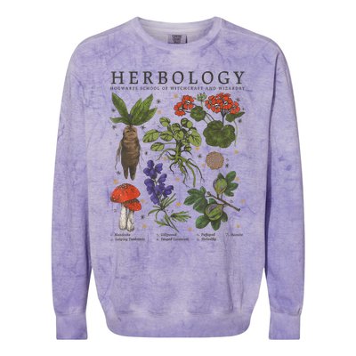 Herbology Plants Short Sleeve Colorblast Crewneck Sweatshirt