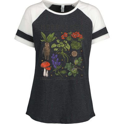 Herbology Plants Short Sleeve Enza Ladies Jersey Colorblock Tee