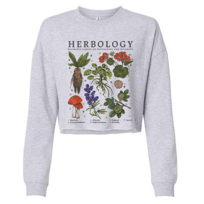 Herbology Plants Short Sleeve Cropped Pullover Crew