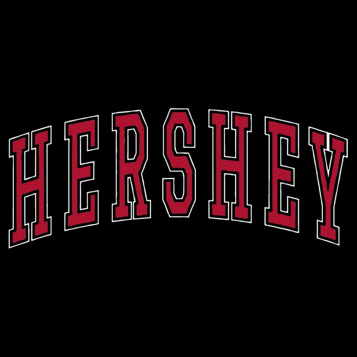 Hershey Pennsylvania Souvenir College Style Red Text Kids T-Shirt
