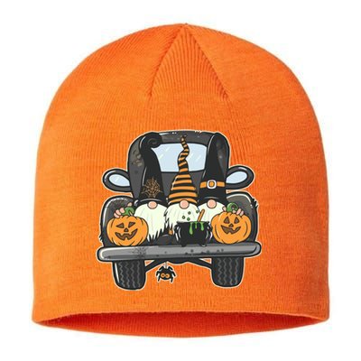 Halloween Pickup Truck Gnomes Sustainable Beanie