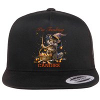 Halloween Pumpkin Trick And Treats Flat Bill Trucker Hat