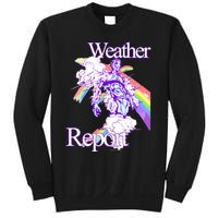 Hoshi Pieces Weather Report Jojos Sweatshirt