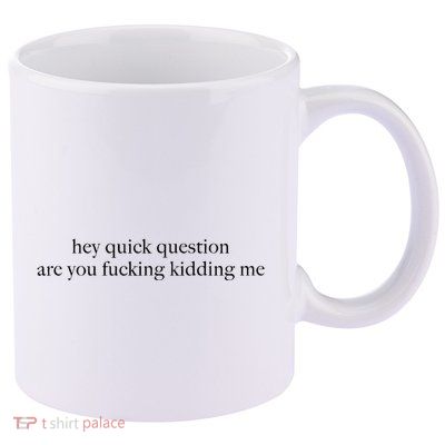 Hey Quick Question Are You Fcking Kidding Me Gift 11oz C Handle Ceramic Mug