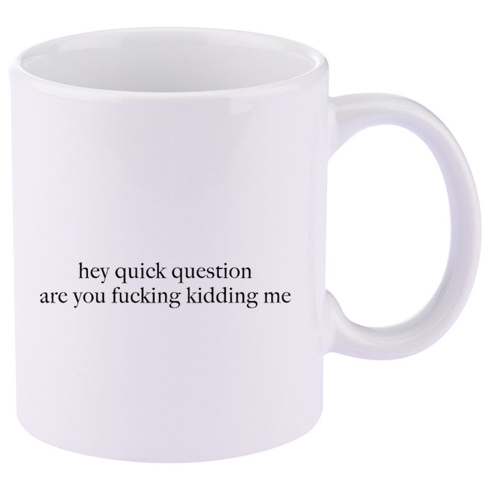 Hey Quick Question Are You Fcking Kidding Me Gift 11oz C Handle Ceramic Mug