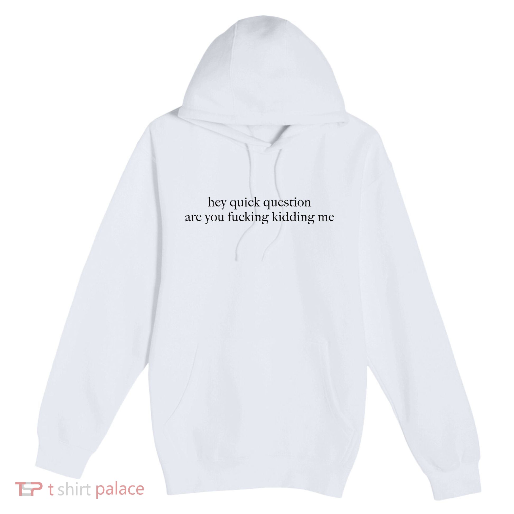 Hey Quick Question Are You Fcking Kidding Me Gift Premium Pullover Hoodie