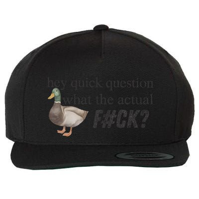 Hey Quick Question Wtaf Funny Duck Meme Retro Humor Joke Wool Snapback Cap