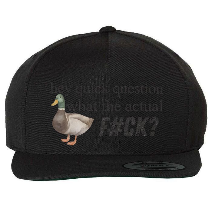 Hey Quick Question Wtaf Funny Duck Meme Retro Humor Joke Wool Snapback Cap