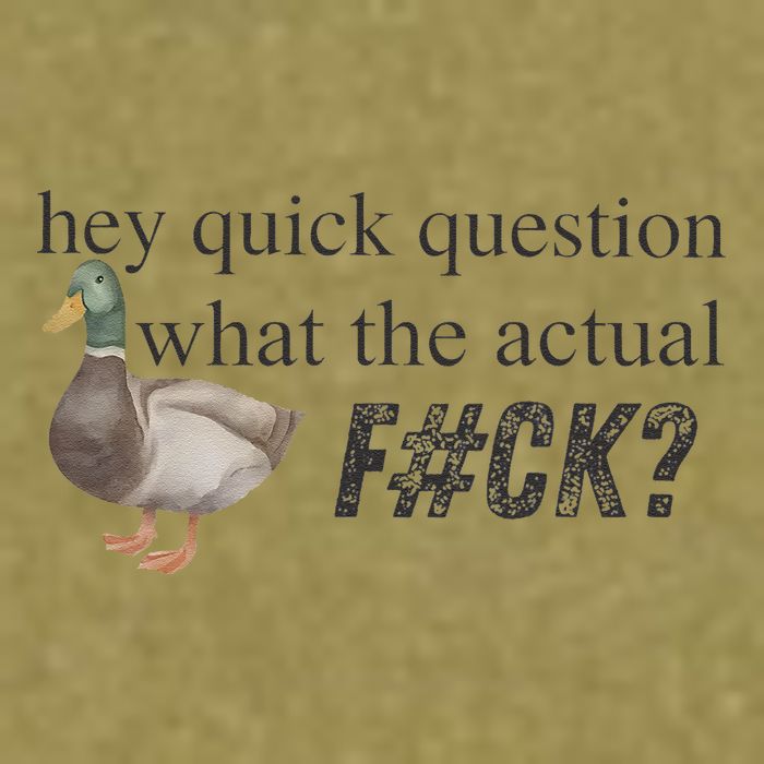 Hey Quick Question Wtaf Funny Duck Meme Retro Humor Joke Garment-Dyed Women's Muscle Tee