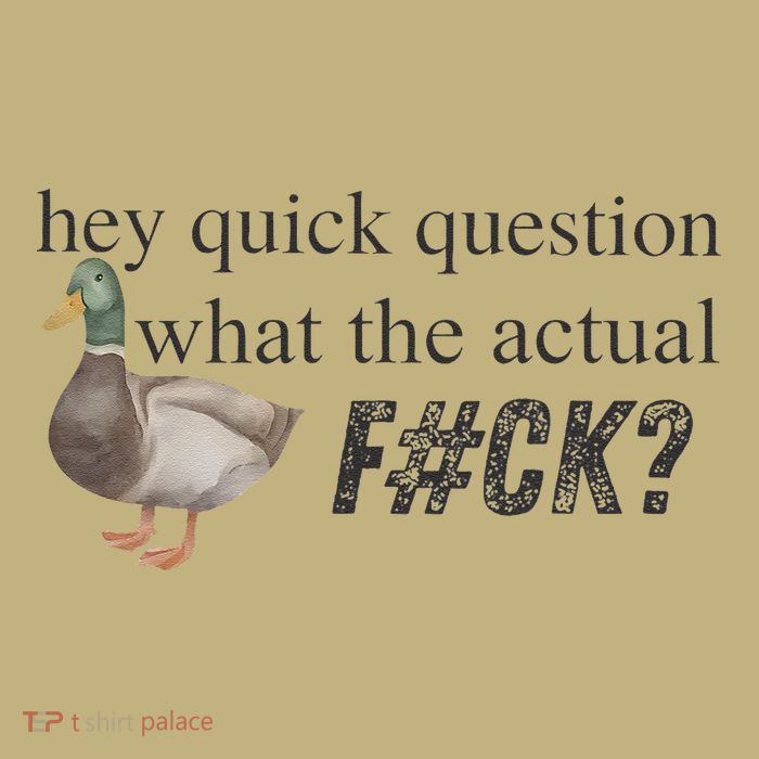 Hey Quick Question Wtaf Funny Duck Meme Retro Humor Joke Sustainable Beanie