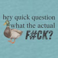 Hey Quick Question Wtaf Funny Duck Meme Retro Humor Joke Sueded Cloud Jersey T-Shirt