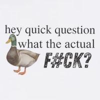 Hey Quick Question Wtaf Funny Duck Meme Retro Humor Joke Garment-Dyed Sweatshirt