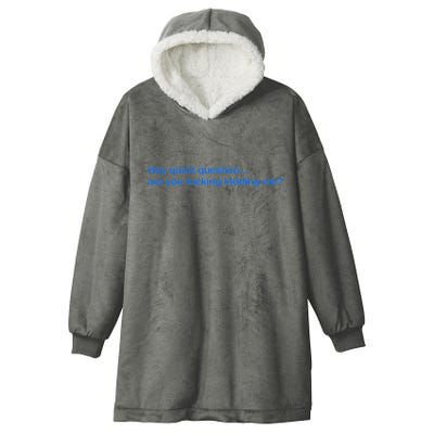 Hey Quick Question Are You Fcking Kidding Me Funny Hooded Wearable Blanket