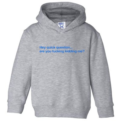 Hey Quick Question Are You Fcking Kidding Me Funny Toddler Hoodie