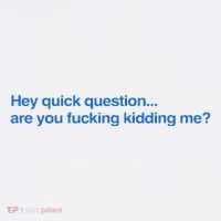 Hey Quick Question Are You Fcking Kidding Me Funny Premium T-Shirt