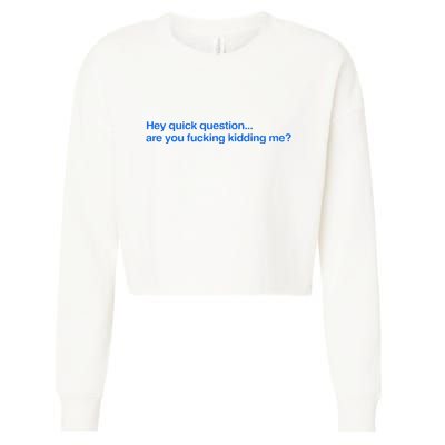 Hey Quick Question Are You Fcking Kidding Me Funny Cropped Pullover Crew