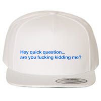 Hey Quick Question Are You Fcking Kidding Me Funny Wool Snapback Cap