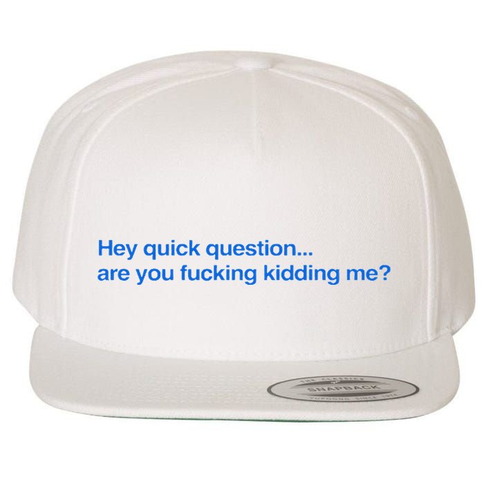 Hey Quick Question Are You Fcking Kidding Me Funny Wool Snapback Cap
