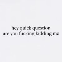 Hey Quick Question Are You Kidding Me Funny Humor Button