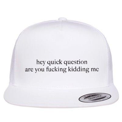 Hey Quick Question Are You Kidding Me Funny Humor Flatbill Hat