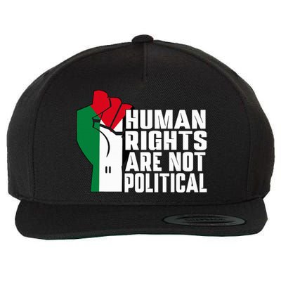 Human Rights Are Not Political Support Palestine and Gaza Wool Snapback Cap