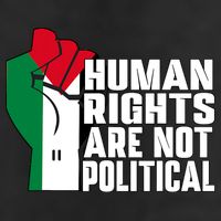 Human Rights Are Not Political Support Palestine And Gaza Adult Drive Performance Visor