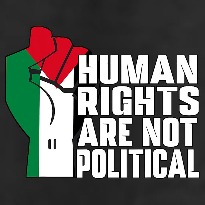 Human Rights Are Not Political Support Palestine And Gaza Adult Drive Performance Visor